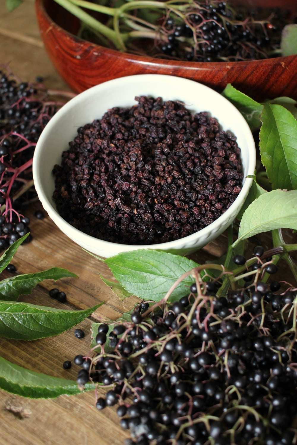 Elderberries: Are They Really Worth The Hype?