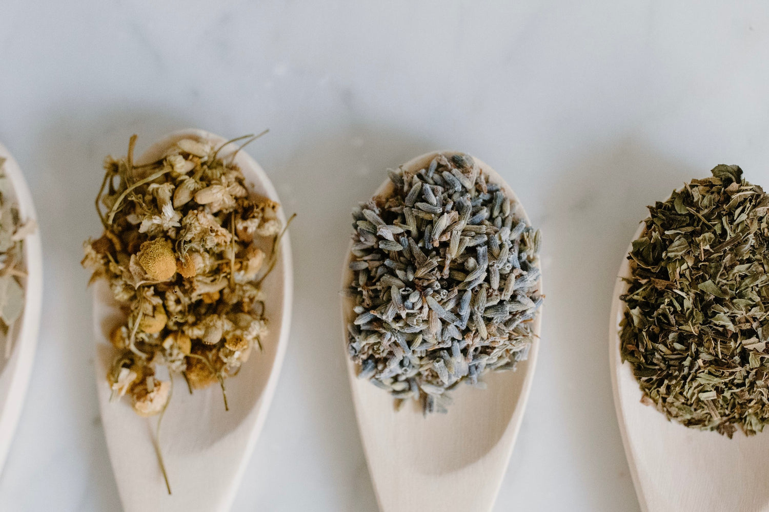 Dried Herbs