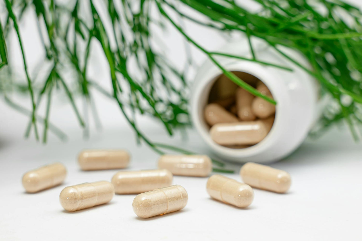 Herbal Capsules